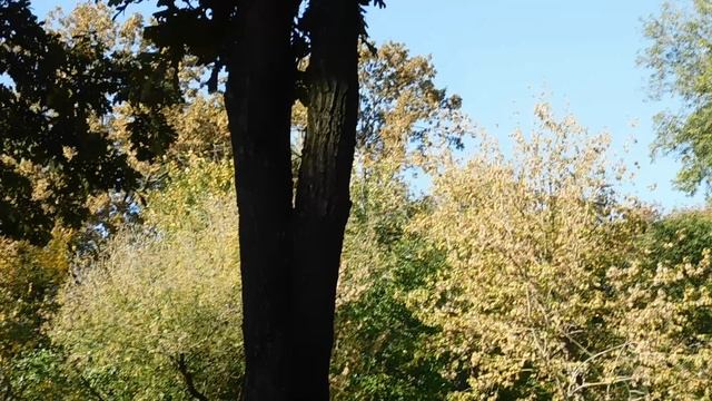 07=10=2025 ник ПВН (14)