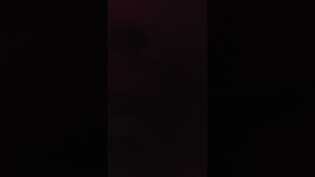 Обзор на Паз Вектор краткое содержание