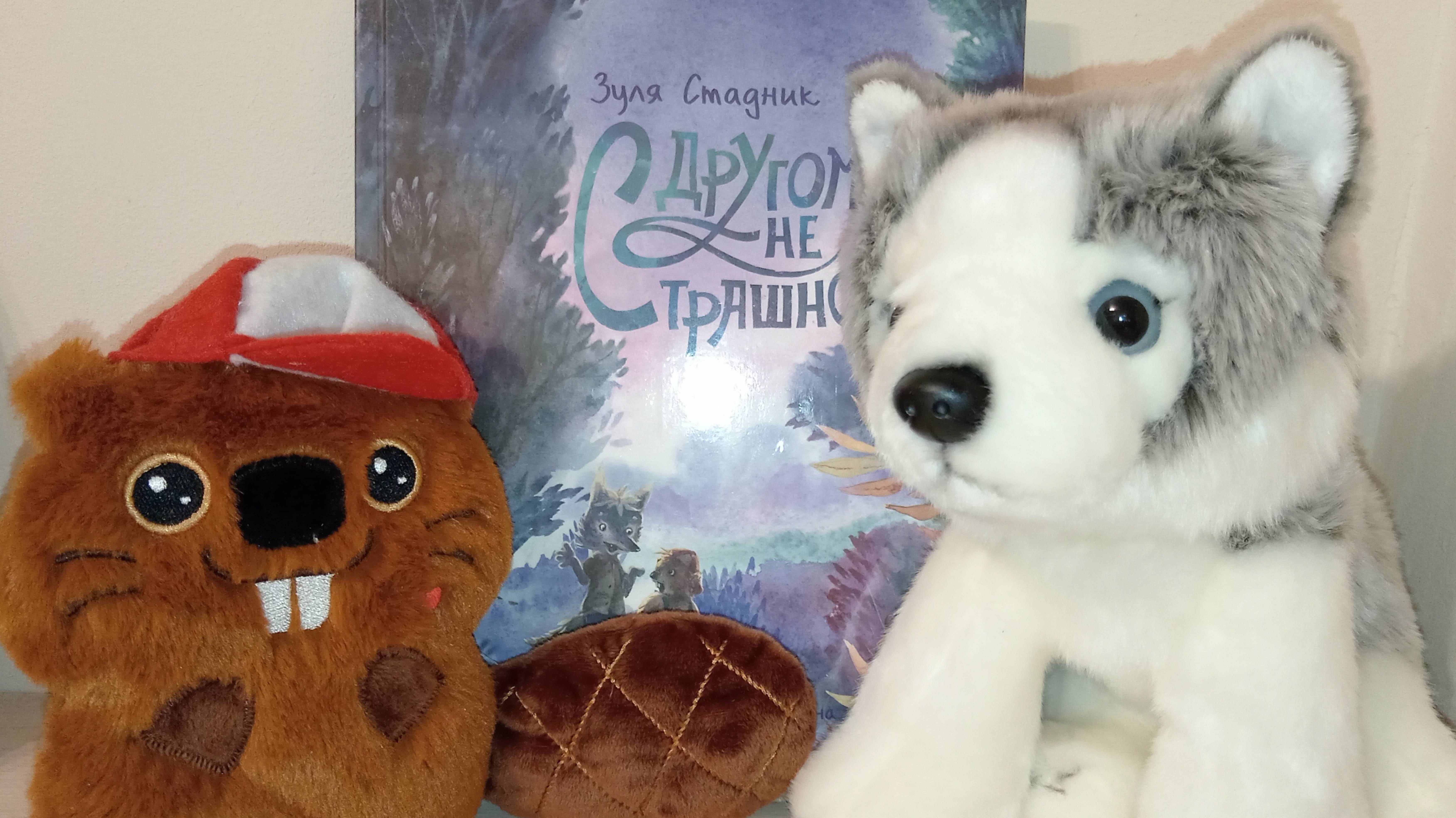 Буктрейлер по книге Зули Стадник 