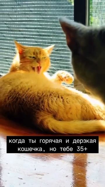 344