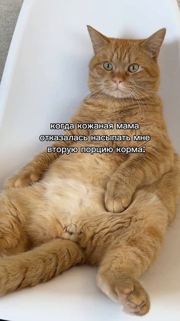 Я обиделся, вызовите мне такси 😂