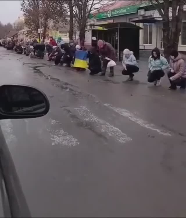 🔴Стадо. Узнай страну по видео!🤭🔴