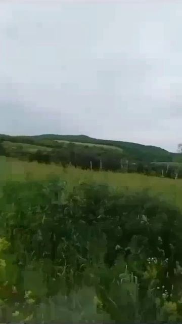 Выйду в поле, гляну на село, все вокруг родное! Все мое!!!