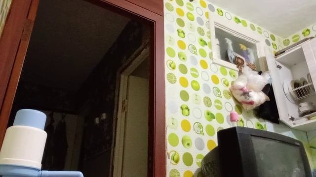 наш мини  влог с уважением