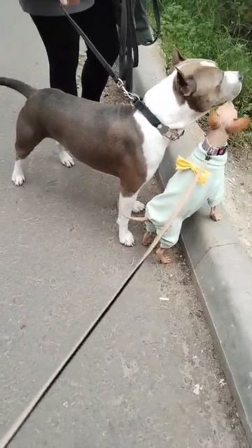 1000017471.mp4
