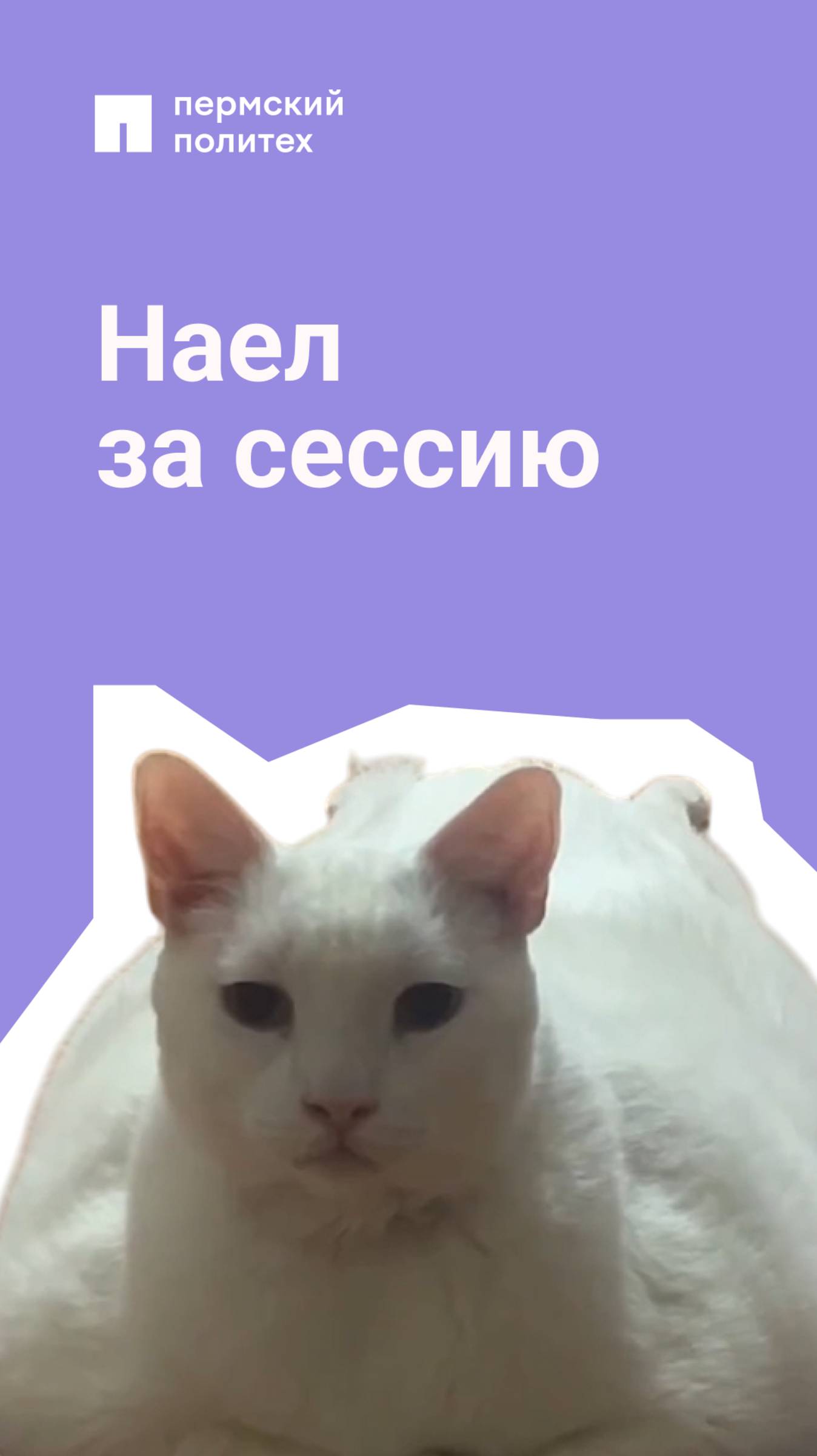 Это не лишние килограммы, это знания, которые не поместились в голову