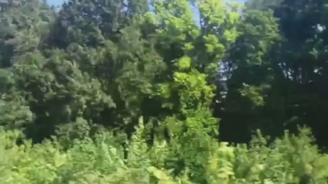 Отьезжаем от станции Гожня