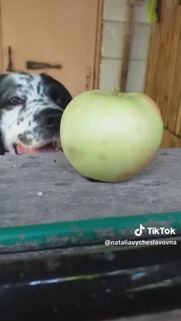 Яблочко...)))