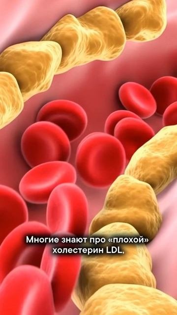 Если вы не сдадите эти два анализа, ждите сердечный приступ!