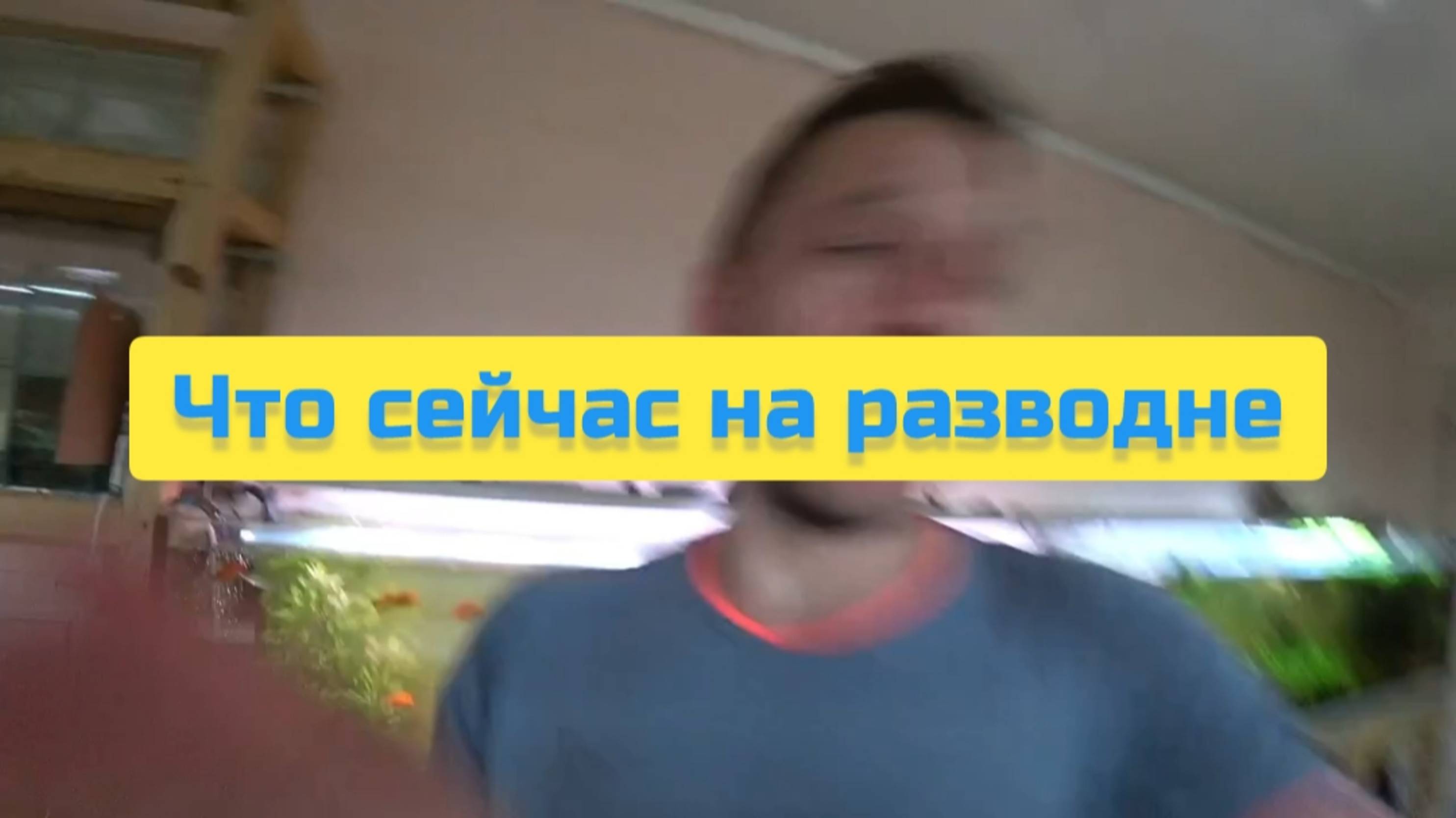 ЧТО СЕЙЧАС НА РАЗВОДНЕ