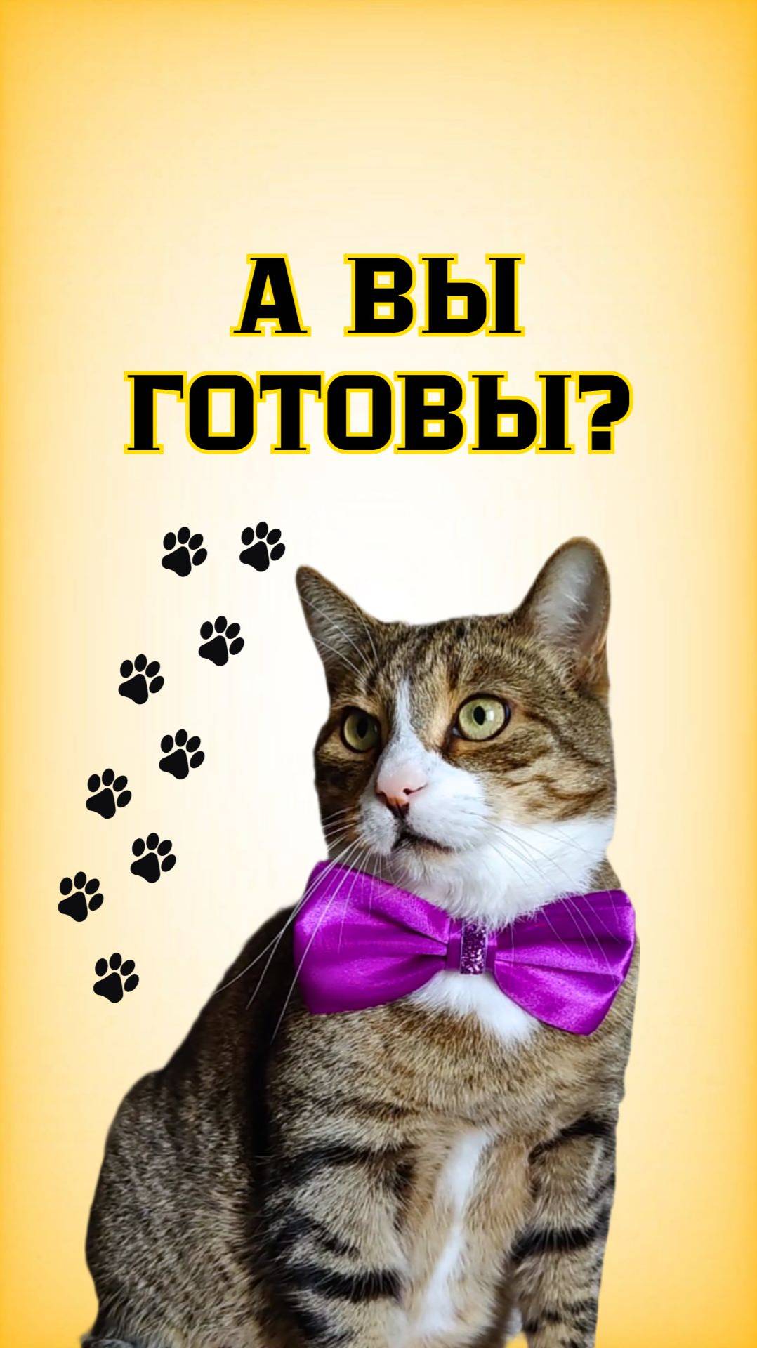 Никогда не делайте это🙀