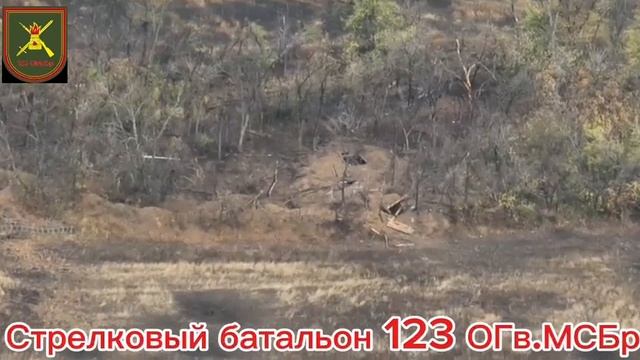 Штурмовик Стрелкового батальона 123 ОГв.МСБр. закидывает ТМку прямо в блиндаж хохлам😎🤙🇷🇺🇷🇺🇷🇺