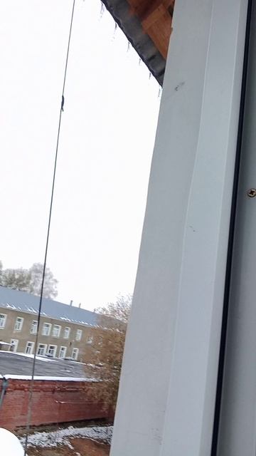 рубрика крикнул в окно