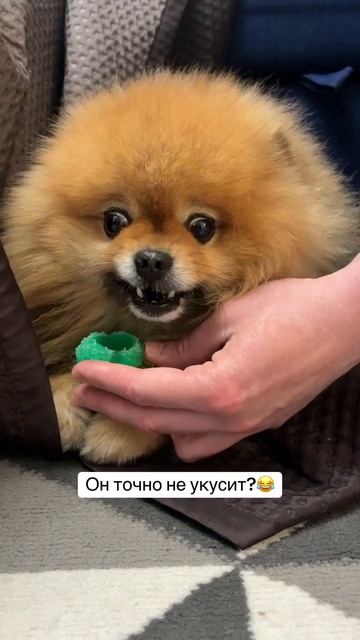 Вот как был придумал счётчик Гейгера 😂