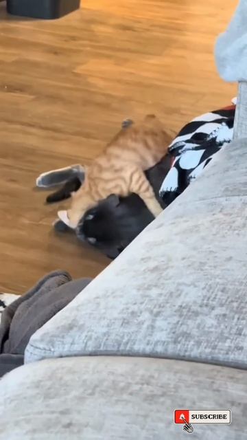 Я Только что Оттуда 🤫🤣😼🤯
