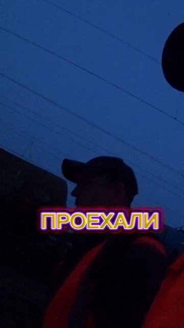 Дурдом 🤪