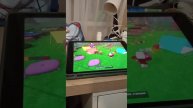 1000000353.mp4я скопировал видео у Холи бама