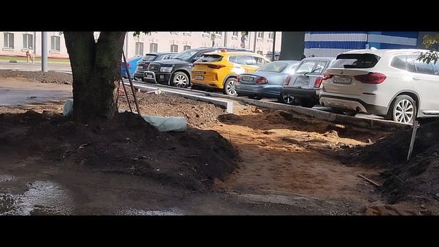 Мы идём гулять с собакой!  31-июл-2025