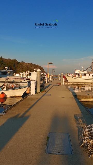 🦀 Причал рыбаков в Cap Sante Marina | Крабовые, креветочные и лососевые лодки на отдыхе 🐟Спокойн