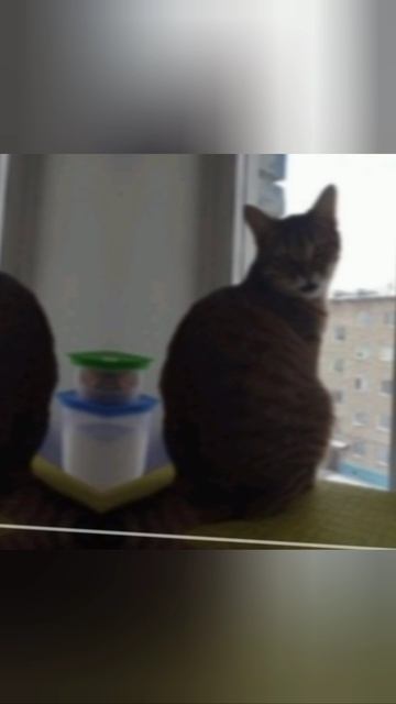 НастоящийДруг
