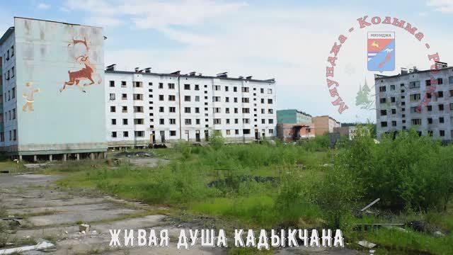  Живая ДУША Кадыкчана Колыма Сусуманский район Магаданская область