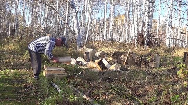 Хижина. Мои наблюдения. Промах лисы