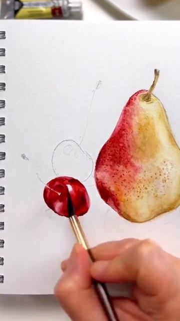 Груша /Pear. Акварельный этюд. Акварельные краски 