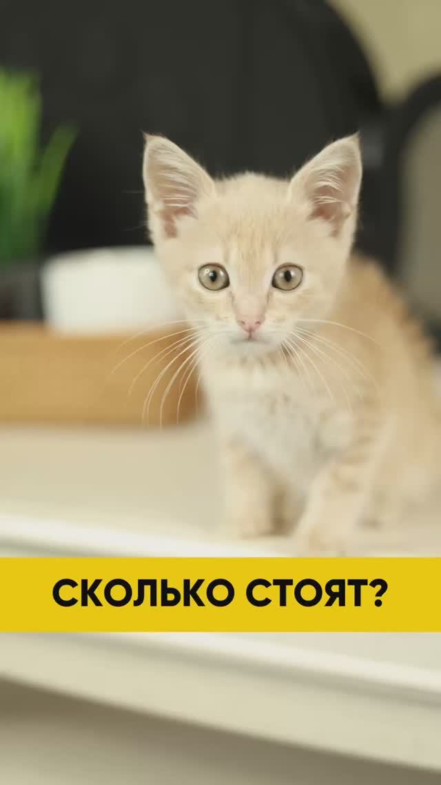 Еще смотришь? 🤨