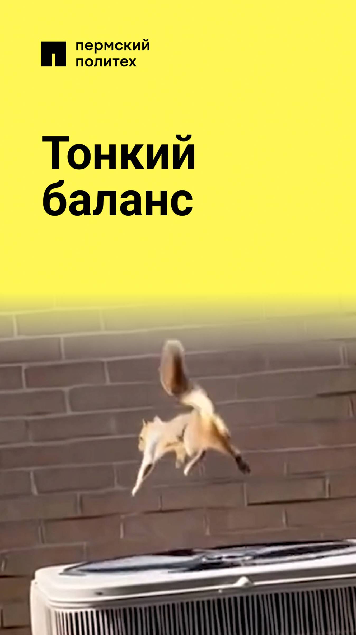 Искусство быть студентом
