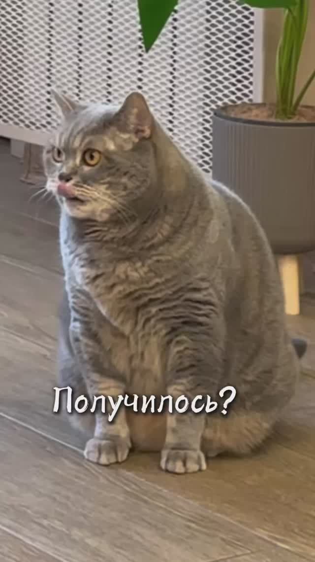Напиши в комментариях 