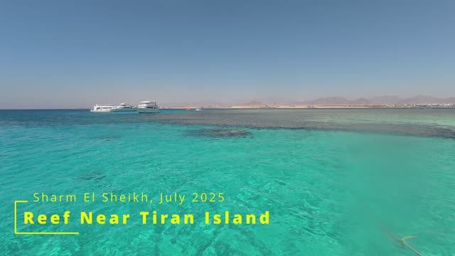 Риф острова Тиран  Tiran Island Reef