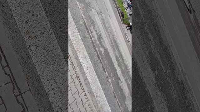 1000008475.mp4