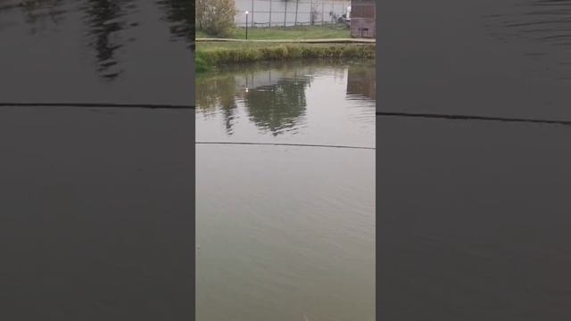 YouCut_20251008_101833507.mp4
