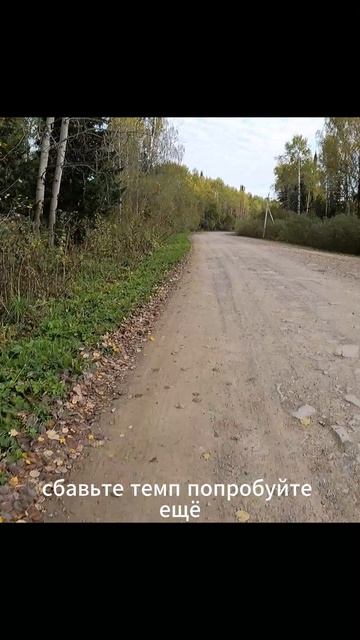 «Исчезнуть в тайге»