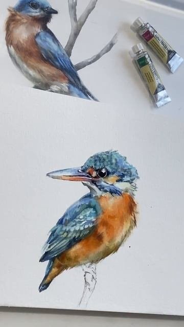 Птичка зимородок, #акварель #лилиябето #рисование #liliabeto #watercolor #watercolorpainting