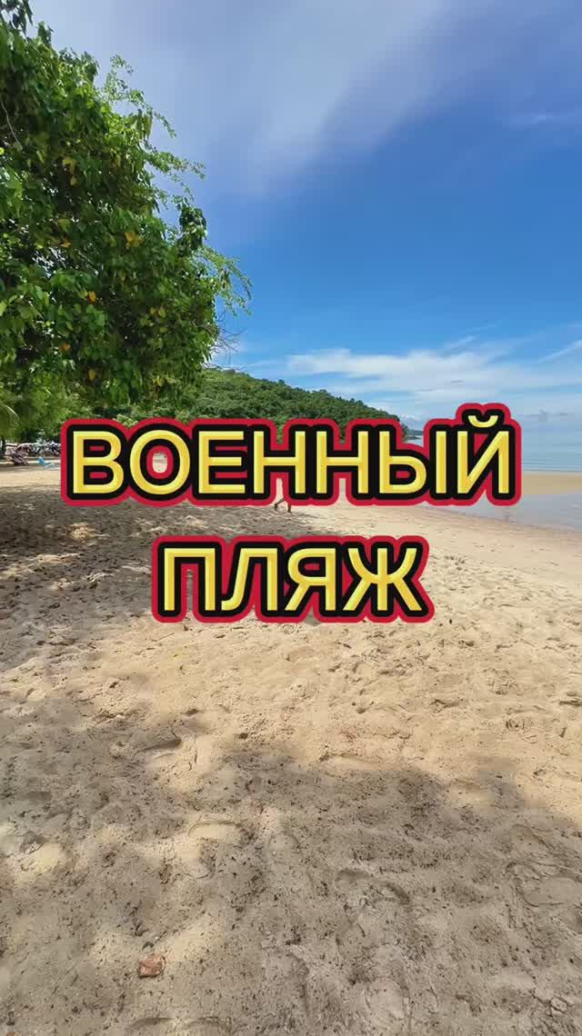 А где обезьяны?