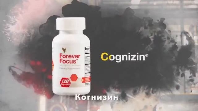 ФОРЕВЕР ФОКУС промо ролик