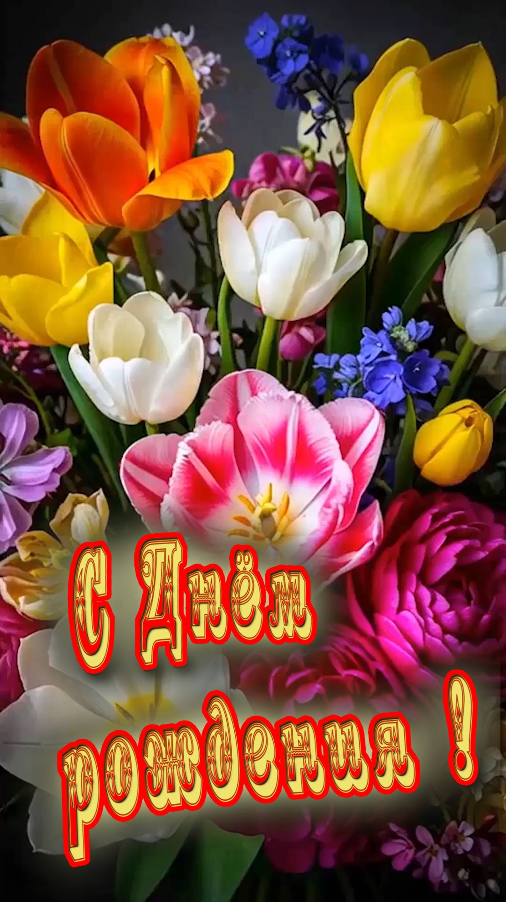 С Днём рождения!