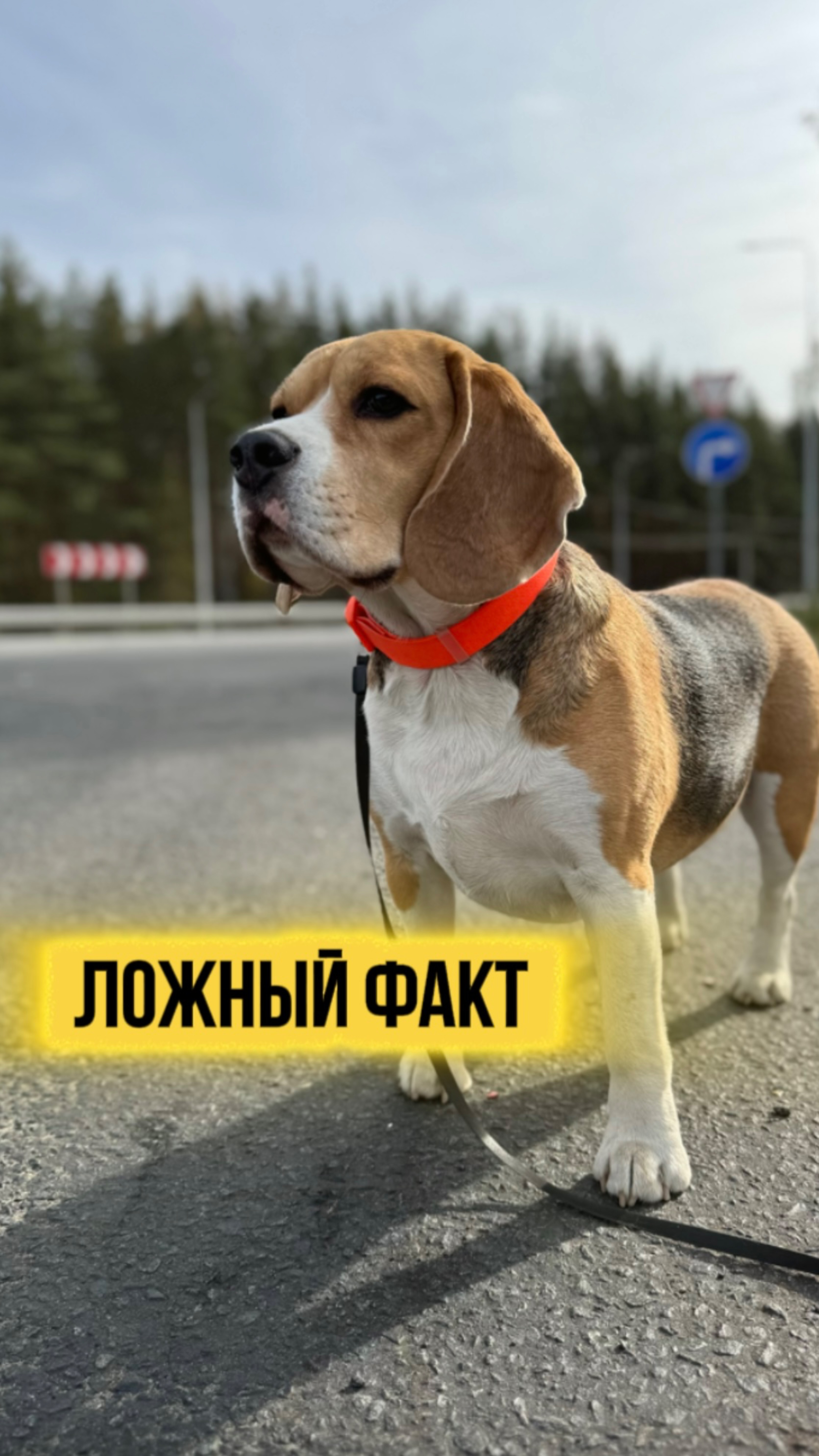Ответ в следующем ролике