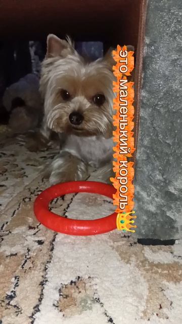 вы посмотрите...