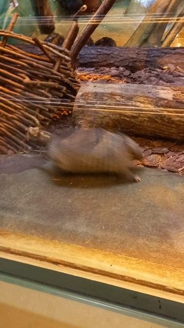 1000308026.mp4