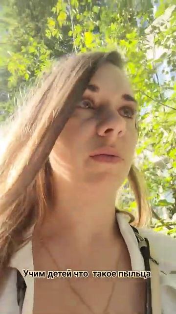 что такое пыльца