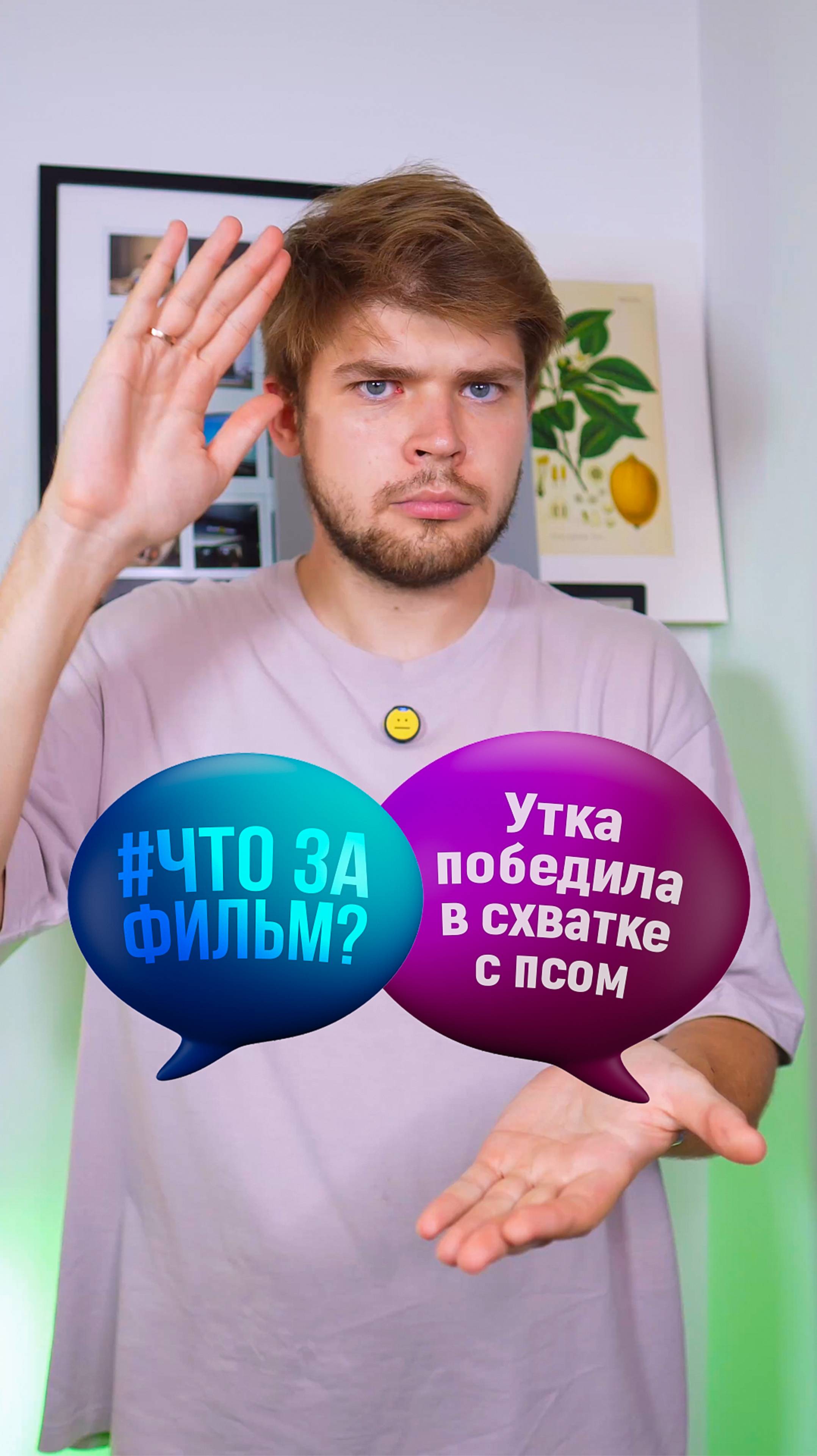 Утка победила в схватке с псом #кино #фильм #чтозафильм