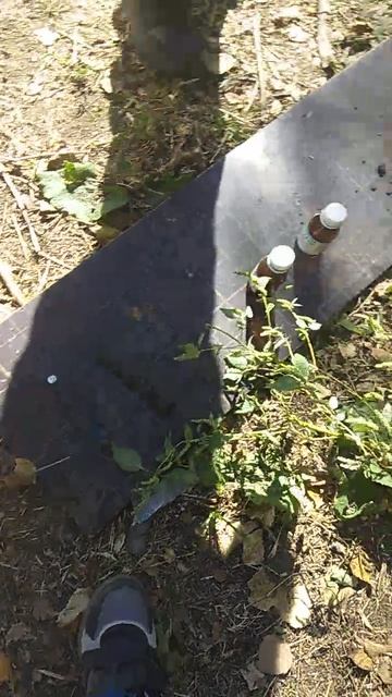 Video_20251009_120634.mp4