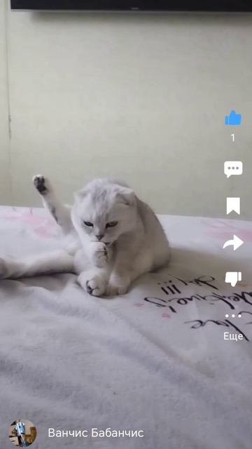 А-а-а-а-а а-а-а-а-а а-а-а-а-а 
