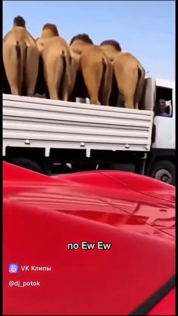 Не фиг так громко разговаривать 😂