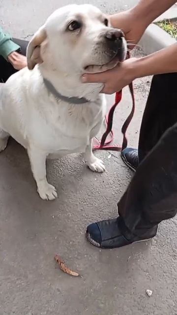 1000607620.mp4