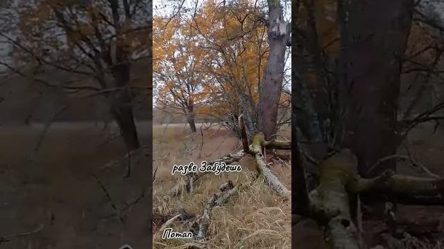 1000400741.mp4