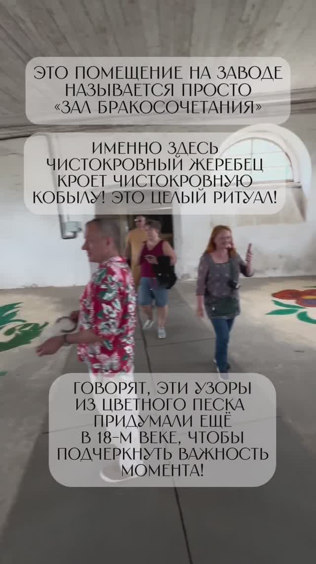 Хреновской конный завод! Воронежская область!