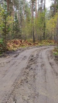 Как правильно строить в горном Алтае. СК Ковкин Дом. Свайноростверковый фундамент.